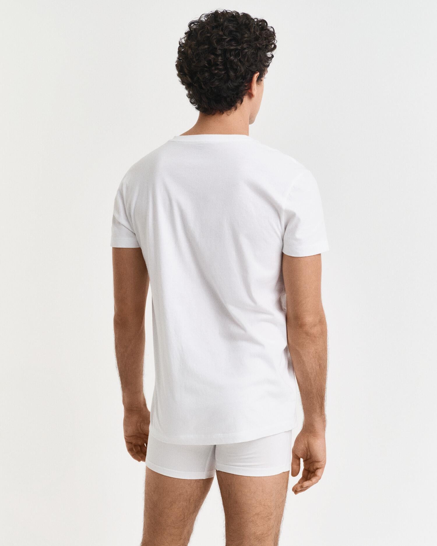 V-NECK T-SHIRT 2-PACK