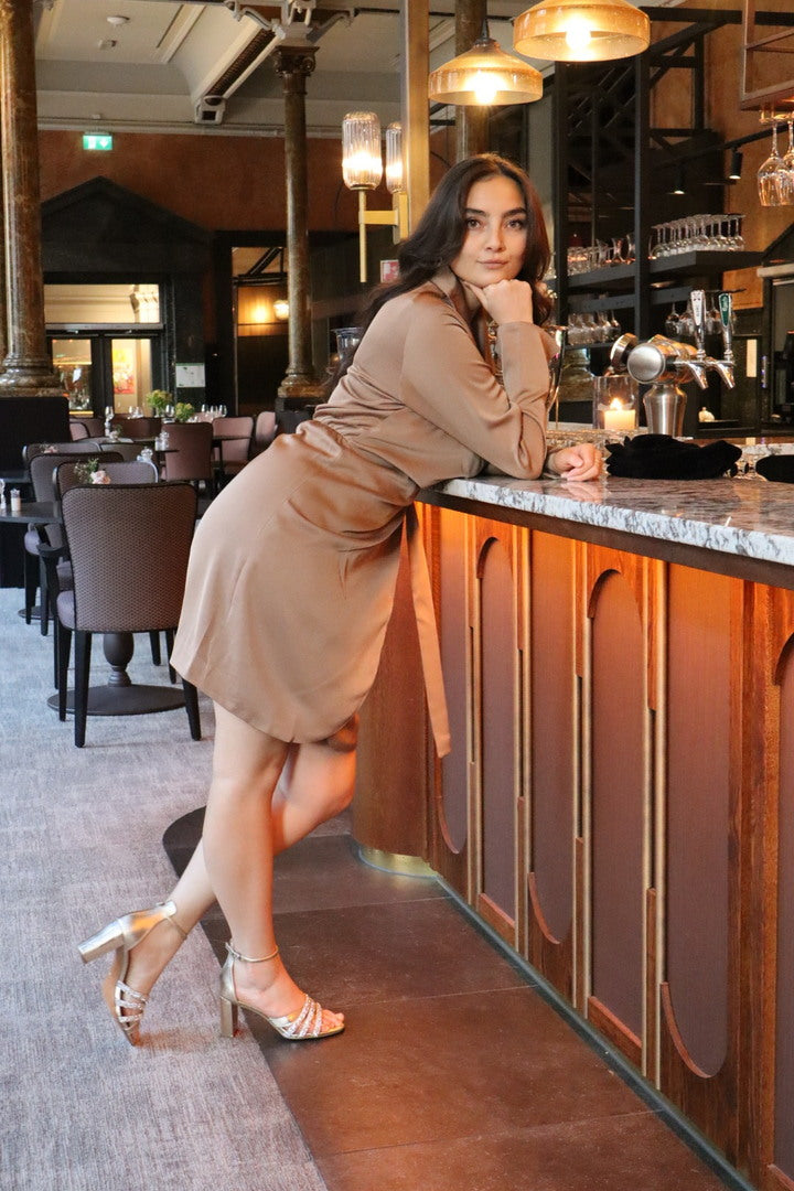 Charlotte Dress