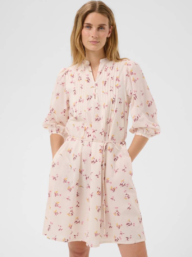 Brynjapw Dr