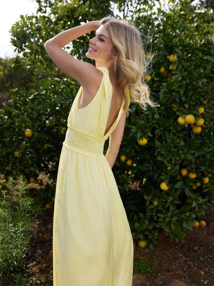 Vanessa Dress