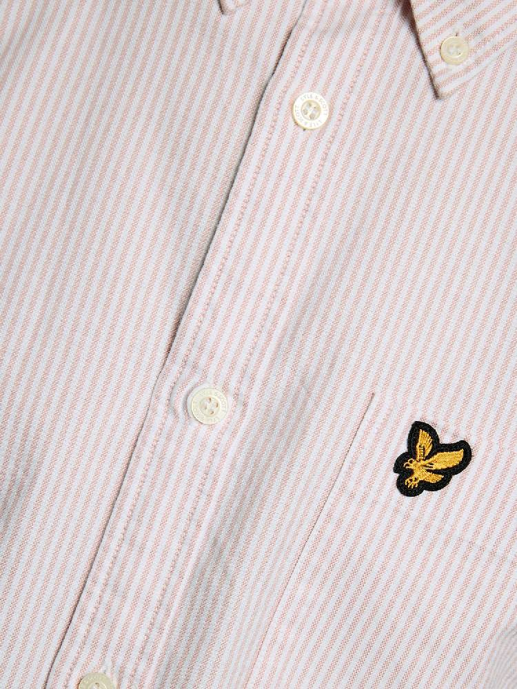 Stripe Oxford Shirt