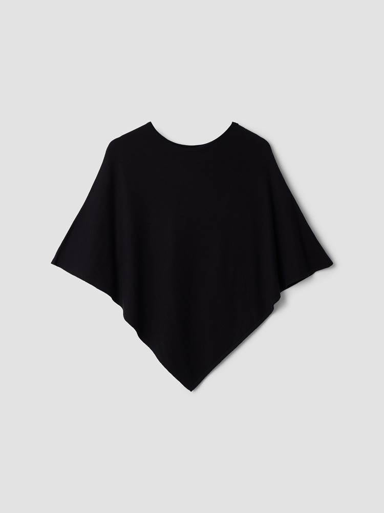 Olea poncho