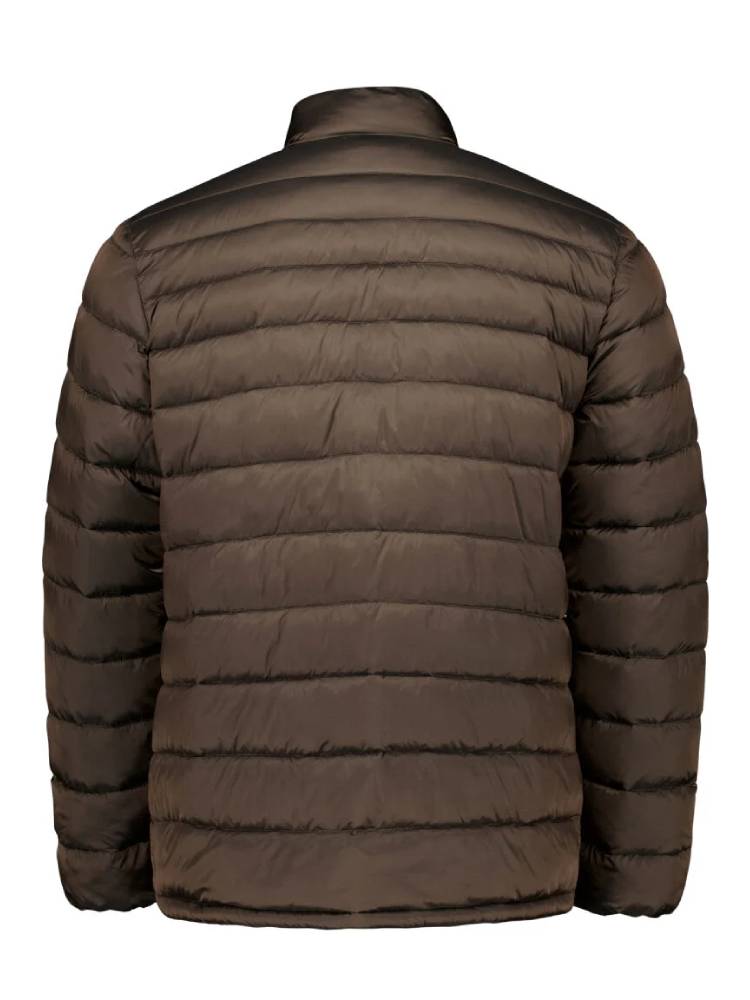 Light Weight Hooded Puffer Jacket