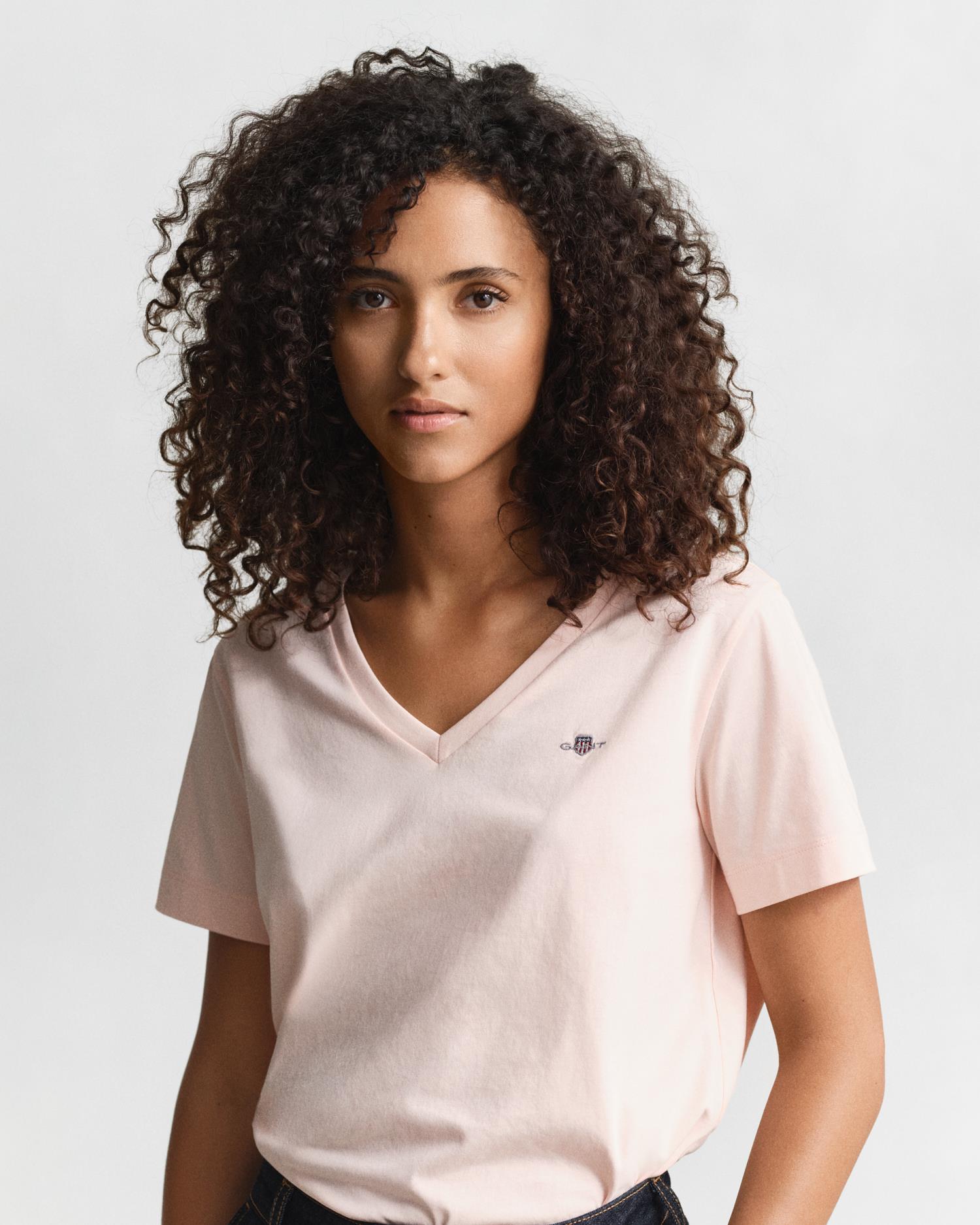 Reg Shield Ss V-Neck T-Shirt