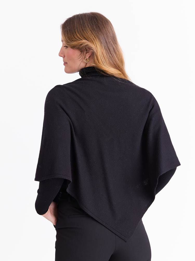 Olea poncho