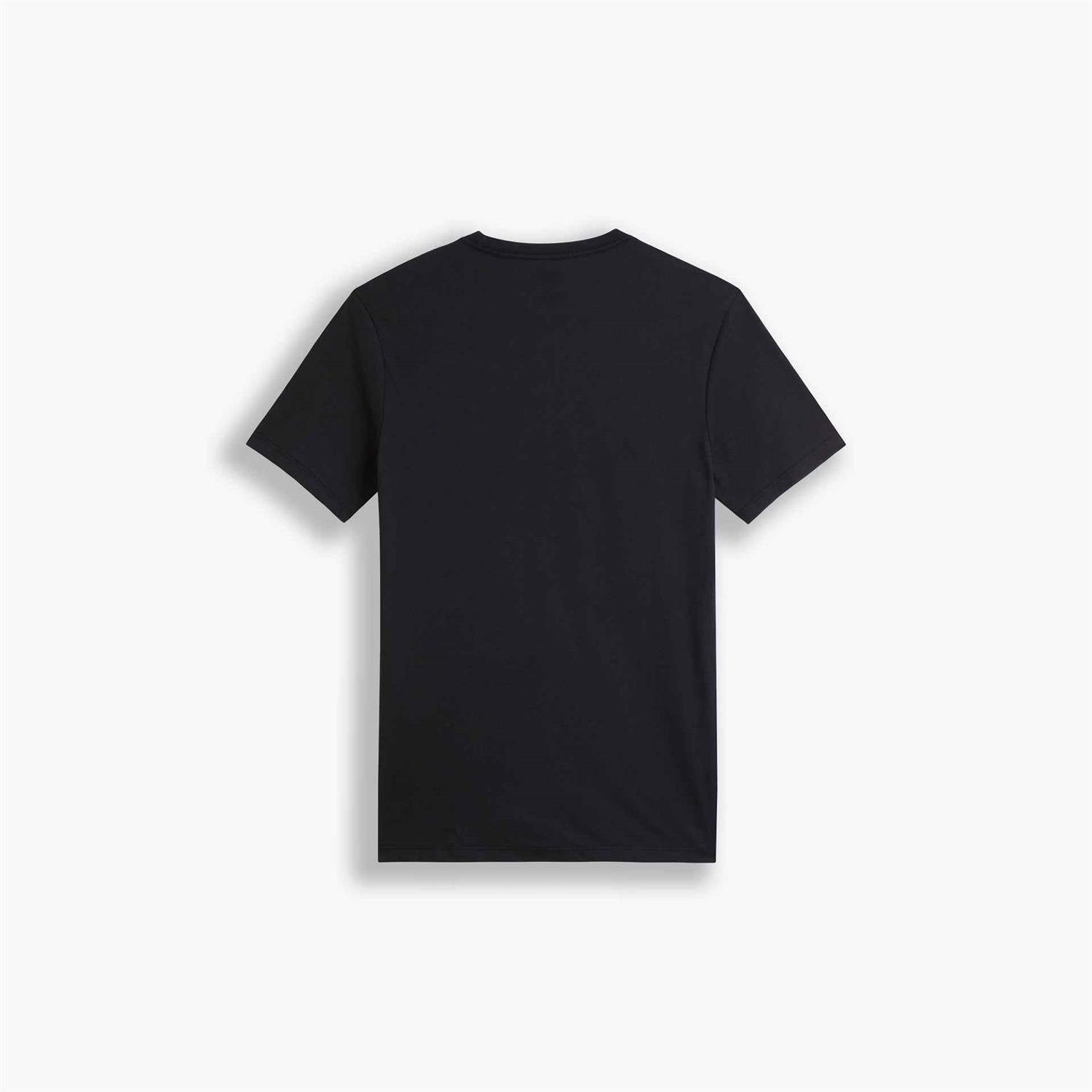 2PK CREWNECK GRAPHIC HM CHESTHIT 2 PACK