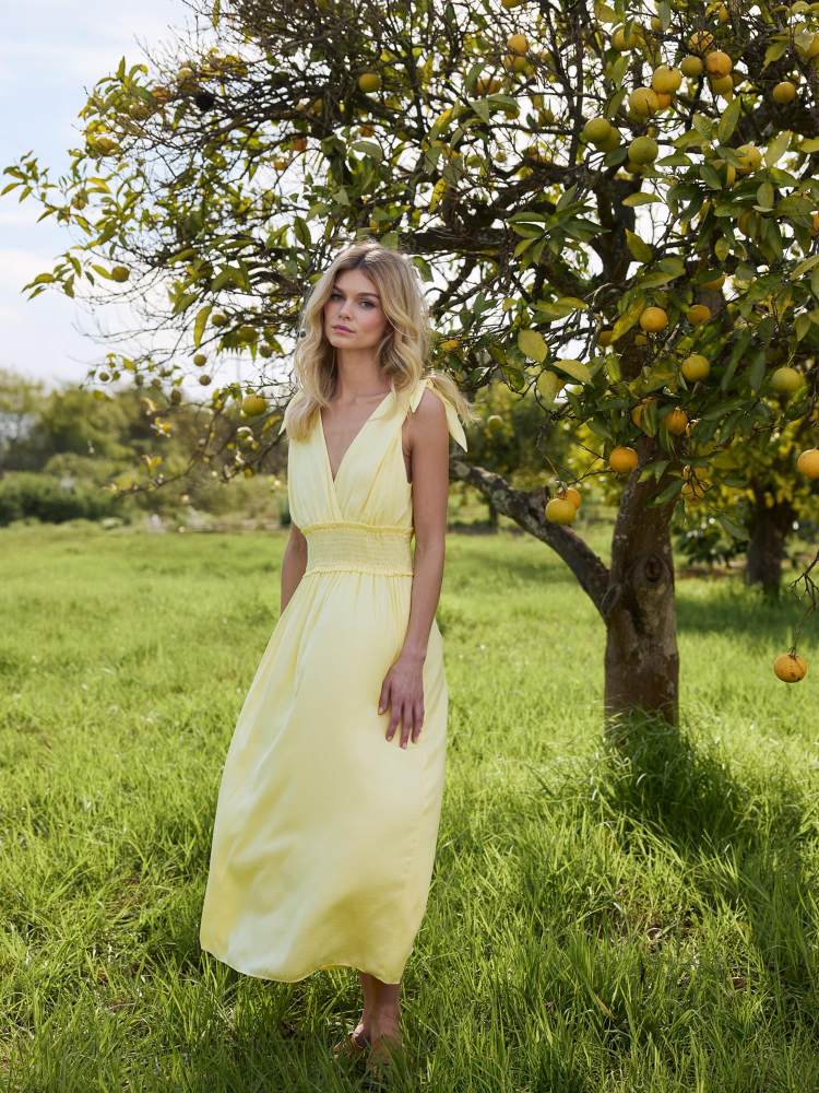 Vanessa Dress