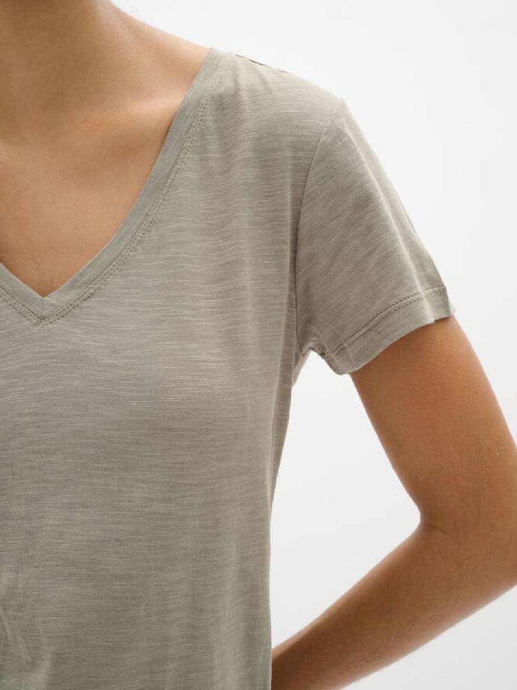 Dalmaiw Tshirt