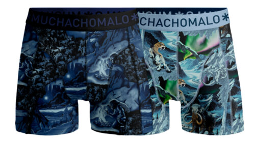 Prehistory 04 2pk Boxer