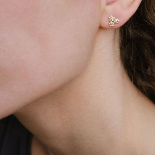 Earr, tripple cz flower steel GP