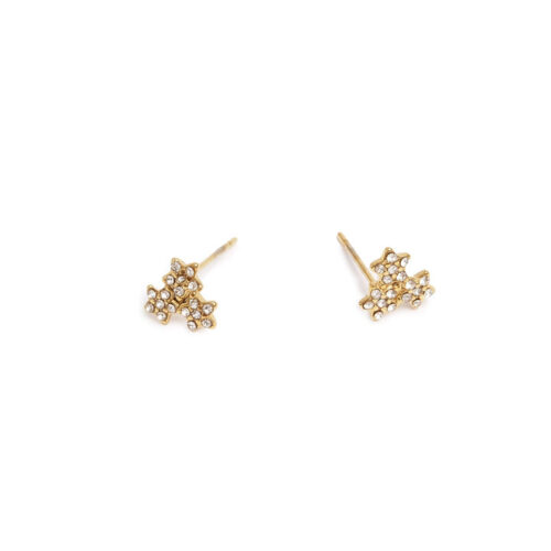 Earr, tripple cz flower steel GP